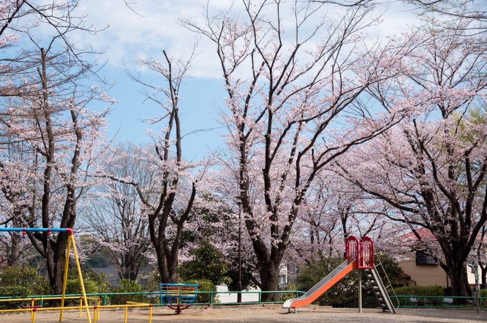 Jimi Hendrix and His Childhood Days - Jimi Heaven
